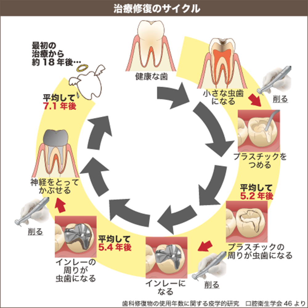 治療修復のサイクル